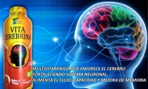VITA CEREBRINA 1L Fresa